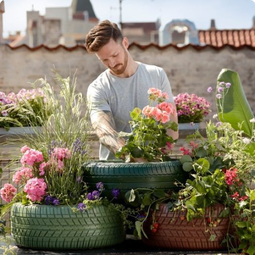 Gardening